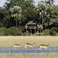 Kwetsani Camp