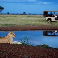 Singita Serengeti House 2