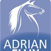 Adrian Flux Insurance Services