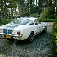 Rare Shelby at Race Retro