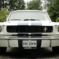 1966 Shelby GT-350