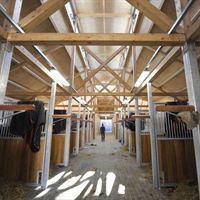 Stables