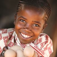 A last minute gift from the World Vision Gift Catalogue will change lives, two hens and a rooster will provide a family with nutritious eggs and a sustainable income.