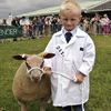 Young Handler, Jack Plant (aged 5) at the Great Yorkshire Show 2012