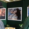 Visitors looking at entries for the 2011 Forestry Photographic Competition