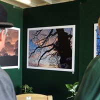 Visitors looking at entries for the 2011 Forestry Photographic Competition