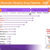 2012 FSMA Drug Pipeline