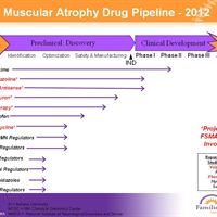 2012 FSMA Drug Pipeline