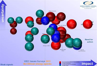 World Energy Council - African energy issues 