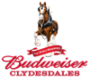 Clydesdales Logo