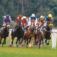 turf_race_Taby