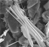 Asbestos