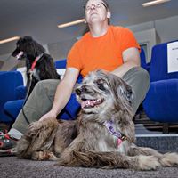 hundbio1_MarcusLundstedt