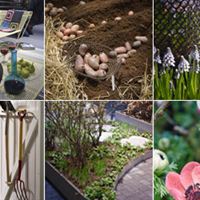 Rum & Trädgård