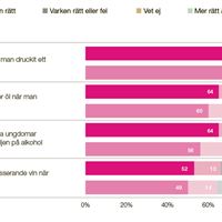 Unga vuxna män har den mest tillåtande attityden till alkohol