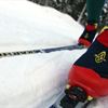 Tidig snö