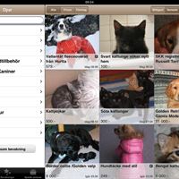 Blocket iPad bild 1
