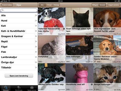 Blocket iPad bild 1