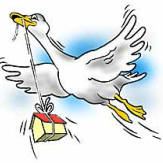 goose