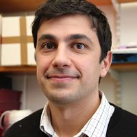 Luca Urciuoli 
