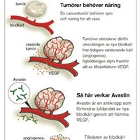 Avastin grafik copy