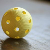 PRECISION WFC Vanilla