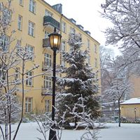 IVAs_konferenscenters_tradgard
