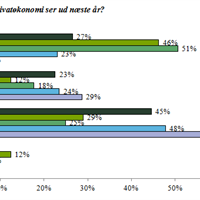 Hvordan tror du, din privatøkonomi ser ud næste år?