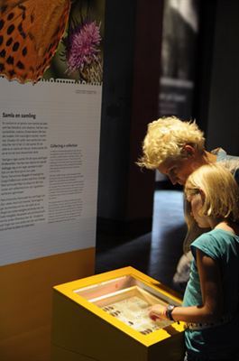 Tranströmers insektssamling Naturhistoriska riksmuseet
