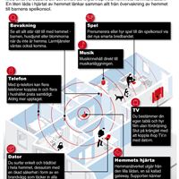 Telia Smart Grafik
