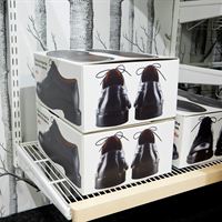 elfa InStore 2011a