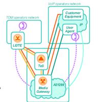 Component View of the TSIC Voice Domain