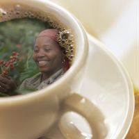 Scandic är störst i Sverige på att fika Rättvisemärkt