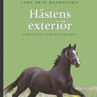 Hästen exteriör