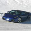 Gallardo