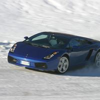 Gallardo