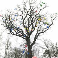 Ballonguppsläpp vid Lugnets skola