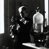 Marie Curie