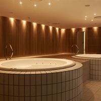 Gigantium spa