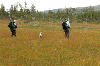 Fjälljakten1© Carl von Essen 