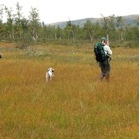Fjälljakten1© Carl von Essen 