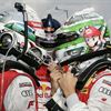 Tom Kristensen, Martin Tomczyk, Timo Scheider