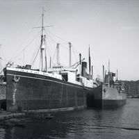 Skytteren FMN6287