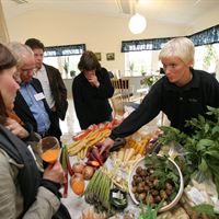 Karin Andersson Ryftes