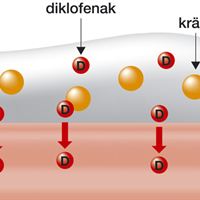 Gelformula  kräm