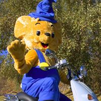 bamse-1