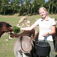 Dyrepasser_Givskud_Zoo