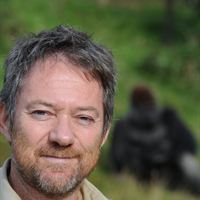 Richard Østerballe fra GIVSKUD ZOO arbejder for at hjælpe gorillaerne i deres hjemland Cameroun