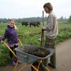 Dyrepasserdrømme_GIVSKUD_ZOO