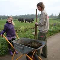 Dyrepasserdrømme_GIVSKUD_ZOO